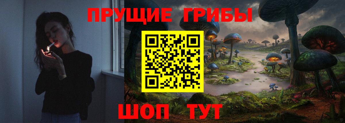 Псилоцибиновые грибы MAGIC MUSHROOMS Ярославль